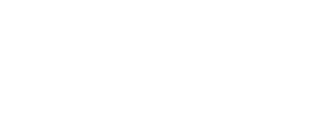 DOUR Logo 2025